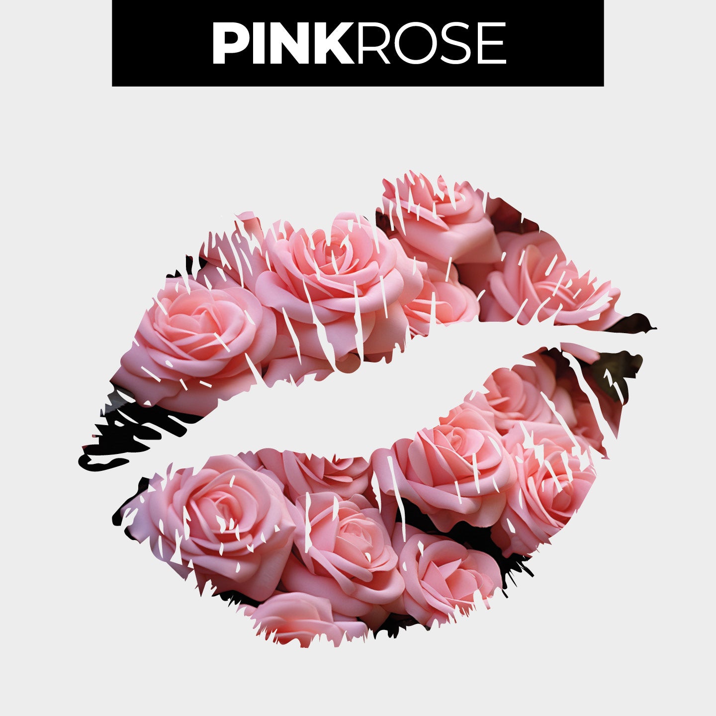 PINKROSE